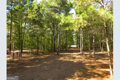 190 Grace Hope Drive, Brooks, GA 30205 - Photo 7