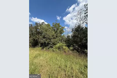 Lot 1 Harrison Davisboro Road, Davisboro, GA 31018 - Photo 5