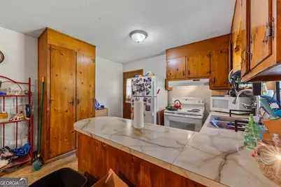 229 Lewis Street, Toccoa, GA 30577 - Photo 19