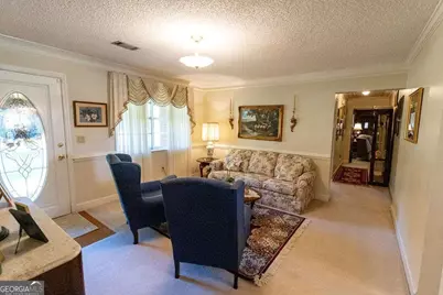 2748 County Line Road NE, Ludowici, GA 31316 - Photo 17