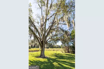 2748 County Line Road NE, Ludowici, GA 31316 - Photo 37