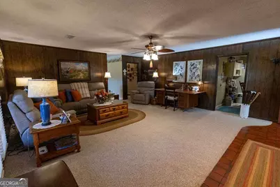 2748 County Line Road NE, Ludowici, GA 31316 - Photo 3