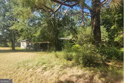 256 Peafowl Road, Sylvester, GA 31791 - Photo 5