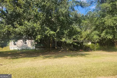 256 Peafowl Road, Sylvester, GA 31791 - Photo 3