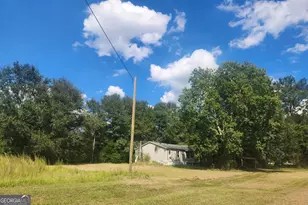 256 Peafowl Rd, Sylvester, GA 31791 - Photo 1