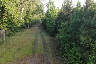 1525 Telfair Line Rd, Rhine, GA 31077 - Photo 73