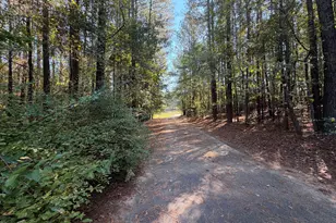 1215 Brush Creek Rd, Colbert, GA 30628 - Photo 59