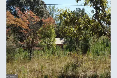 229 Dixon Road, Newnan, GA 30263 - Photo 3