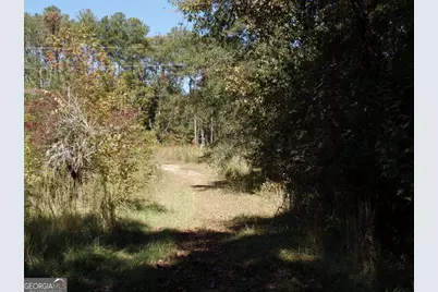229 Dixon Road, Newnan, GA 30263 - Photo 5