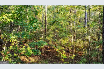 0 Deep South Road #LOT 2, Senoia, GA 30276 - Photo 15
