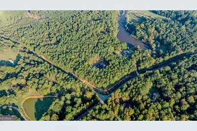 0 Deep South Road #LOT 2, Senoia, GA 30276 - Photo 21