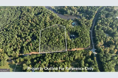 0 Deep South Road #LOT 2, Senoia, GA 30276 - Photo 1