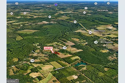 9.93 Acres Park Avenue, Reynolds, GA 31076 - Photo 3