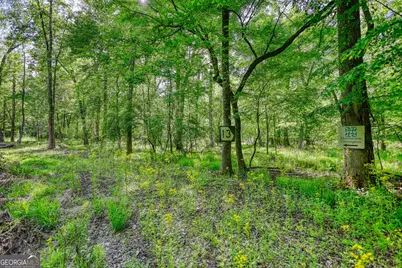 393 Edwards Road, Oxford, GA 30054 - Photo 107