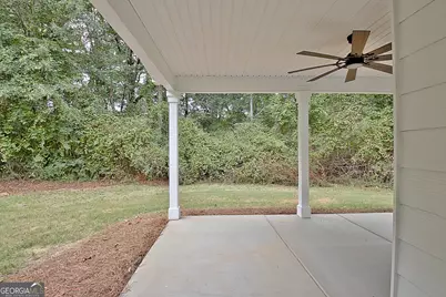 1375 Dolly Nixon Road, Senoia, GA 30276 - Photo 69