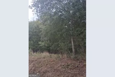 0 Churchwell Road, Greensboro, GA 30642 - Photo 3