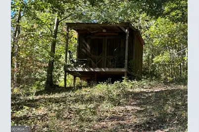 420 Charlie B Johnson Road, Newnan, GA 30263 - Photo 33