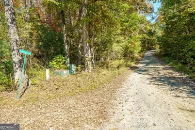 3.14 Ac Hot House Drive, Mineral Bluff, GA 30559 - Photo 11