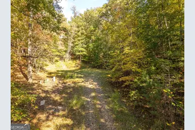 3.14 Ac Hot House Drive, Mineral Bluff, GA 30559 - Photo 17
