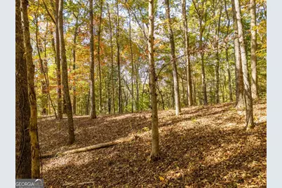 3.14 Ac Hot House Drive, Mineral Bluff, GA 30559 - Photo 7