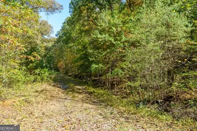 3.14 Ac Hot House Drive, Mineral Bluff, GA 30559 - Photo 15