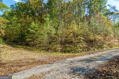 3.14 Ac Hot House Drive, Mineral Bluff, GA 30559 - Photo 13