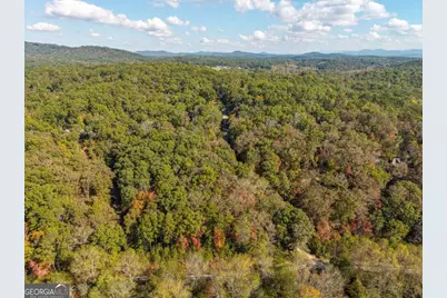 3.14 Ac Hot House Drive, Mineral Bluff, GA 30559 - Photo 29