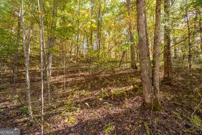 3.14 Ac Hot House Drive, Mineral Bluff, GA 30559 - Photo 21