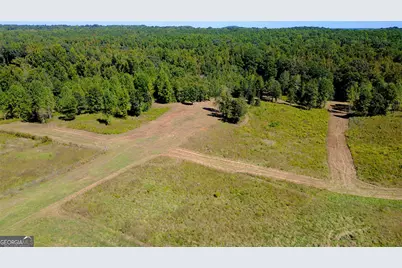 4230 Gauntt Road, Covington, GA 30014 - Photo 31