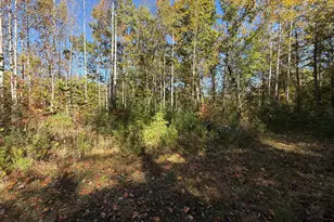 0 Benny Mountain Rd, Clayton, GA 30525 - Photo 1