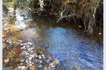 407 Highland Trace, Blairsville, GA 30512 - Photo 53