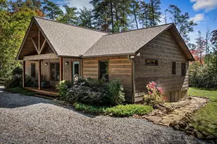 329 Autumn Ridge Dr, Mineral Bluff, GA 30559 - Photo 45