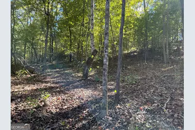 00 Hwy 36 #7, Woodland, GA 31836 - Photo 11