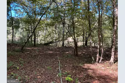 00 Hwy 36 #7, Woodland, GA 31836 - Photo 7