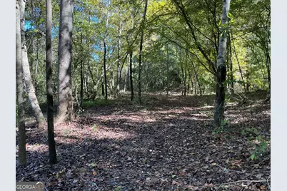 00 Hwy 36 #7, Woodland, GA 31836 - Photo 9