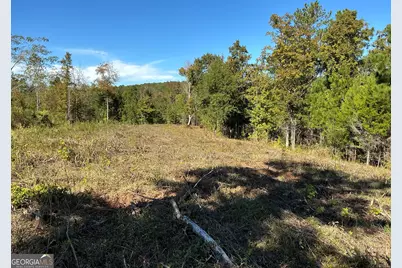 00 Hwy 36 #8, Woodland, GA 31836 - Photo 5