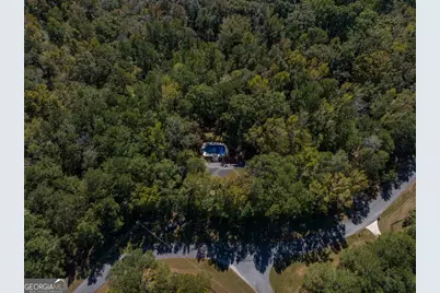 945 Deer Run Drive, Ellerslie, GA 31807 - Photo 53