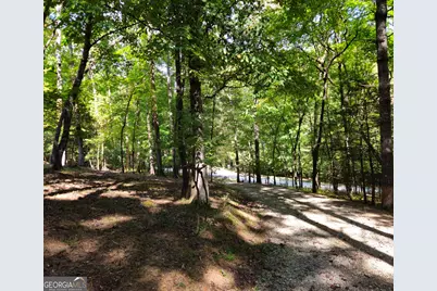 363 Weeks Creek Road, Blue Ridge, GA 30513 - Photo 3