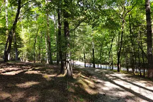 363 Weeks Creek Rd, Blue Ridge, GA 30513 - Photo 3
