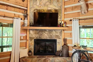 363 Weeks Creek Rd, Blue Ridge, GA 30513 - Photo 63