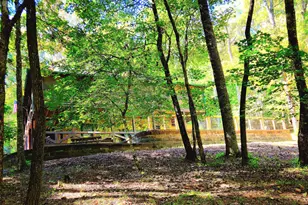 363 Weeks Creek Rd, Blue Ridge, GA 30513 - Photo 19