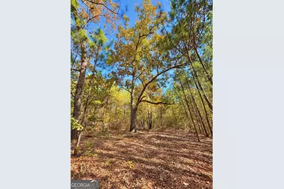475 Holloway-Ray Road, Mcintyre, GA 31054 - Photo 9
