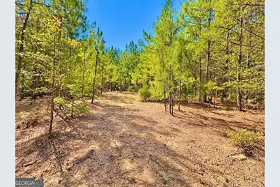 475 Holloway-Ray Road, Mcintyre, GA 31054 - Photo 37