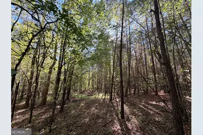 12 Hollis Norman Road, Tignall, GA 30668 - Photo 31