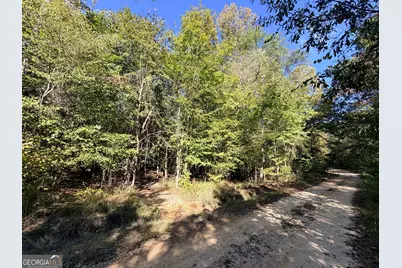12 Hollis Norman Road, Tignall, GA 30668 - Photo 27
