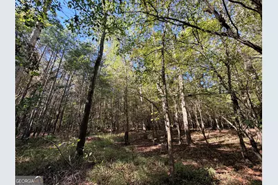 12 Hollis Norman Road, Tignall, GA 30668 - Photo 29
