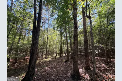 12 Hollis Norman Road, Tignall, GA 30668 - Photo 35