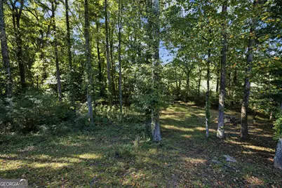 20 Audubon Point, Newnan, GA 30265 - Photo 37