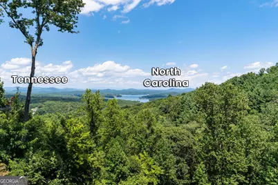 723 Ripshin Heights, Blue Ridge, GA 30513 - Photo 33