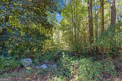 0 Charles Street, Union City, GA 30291 - Photo 3